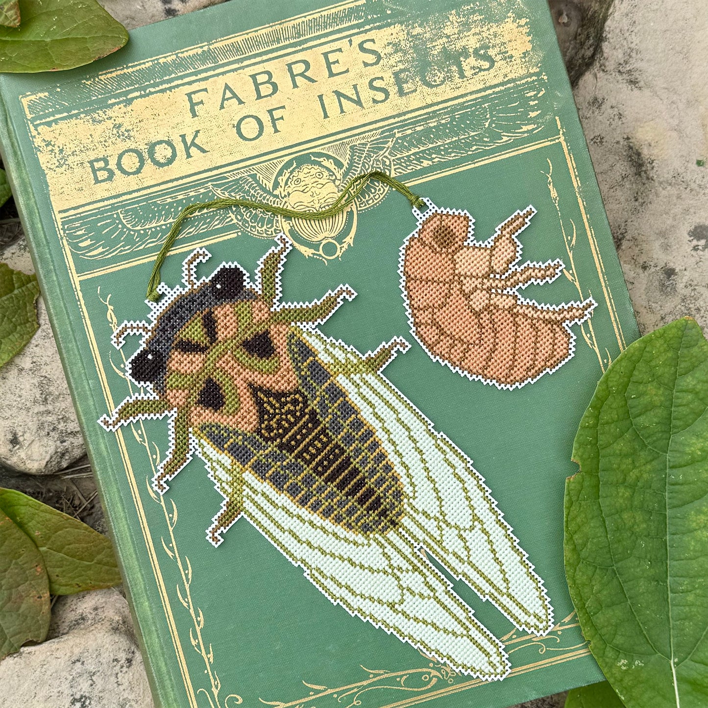 Cicada Season